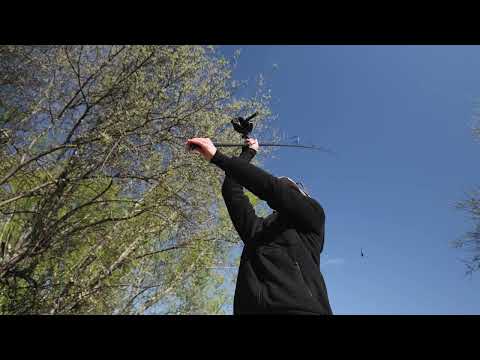 Laden und spielen Sie Video in Galerie -Viewer, Fox EOS FD 12K - Mulinello Carpfishing