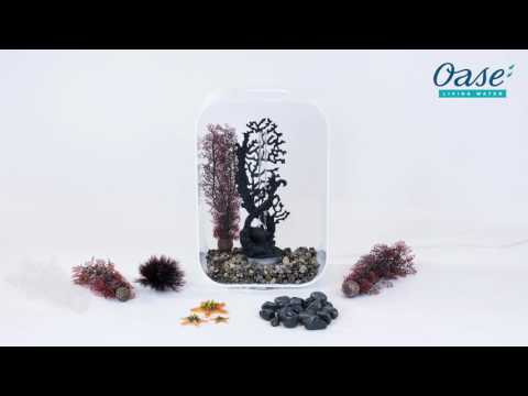 Carica e riproduci video in Gallery Viewer, biOrb LIFE 60 MCR trasparente