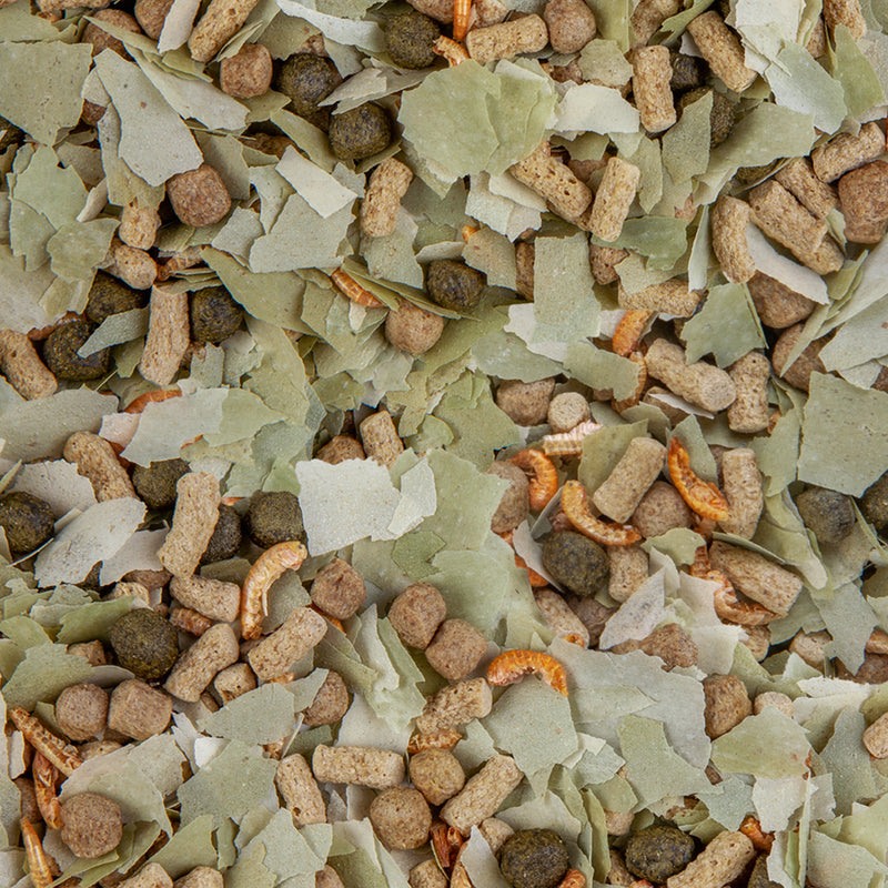 Carica immagine in Galleria Viewer, Pond Mix Royal Mangime Completo Laghetto