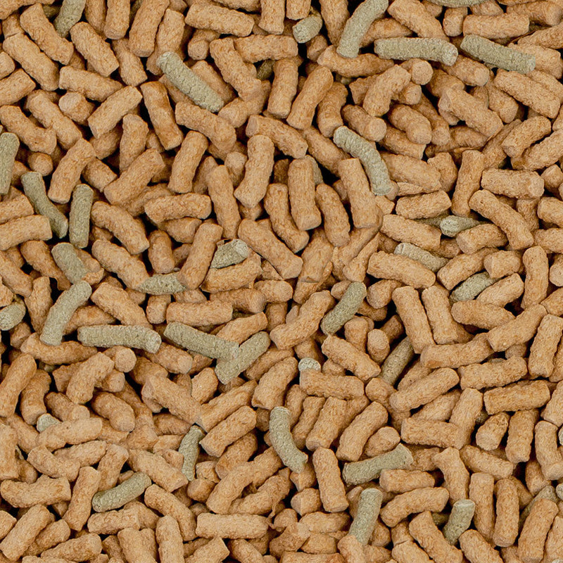 Carica immagine in Galleria Viewer, Sera Raffy P Nature Alimento completo per tartarughe acquatiche