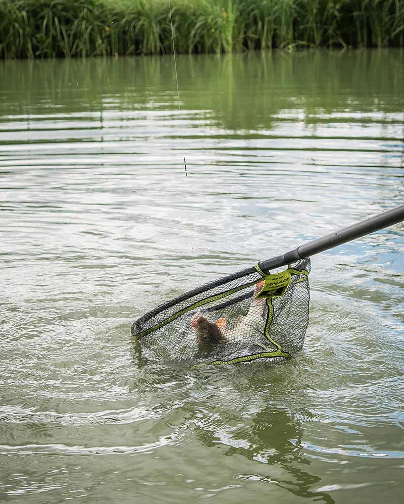 Laden Sie das Bild in Galerie -Viewer, Matrix Snag Free Landing Net - Testa per Guadino Anti-Strappo