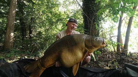 Monster-Liver o Monster’s Paradise?... nel dubbio entrambe