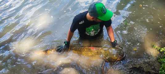 Abbigliamento Cat Fishing
