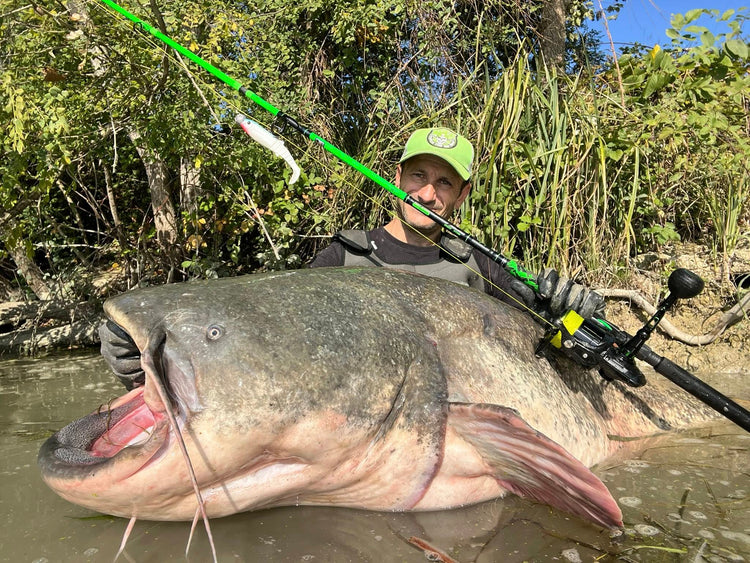 Cat Fishing