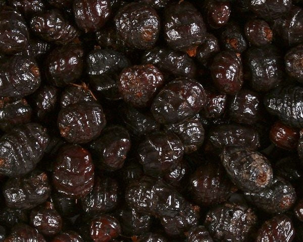 Tiger Nuts Black XXL - Ritiro in Negozio