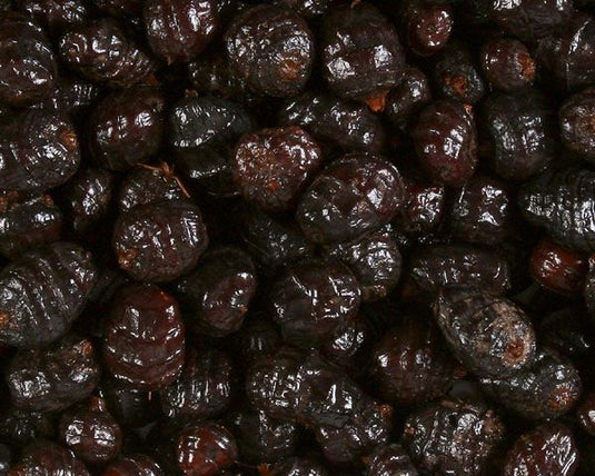 Tiger Nuts Black XXL - Ritiro in Negozio