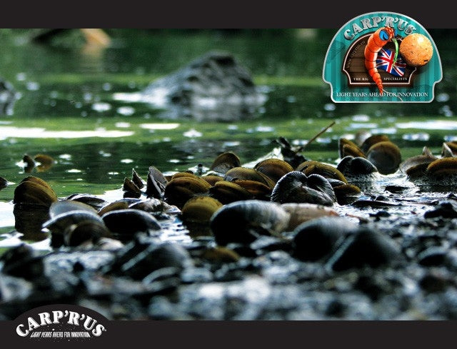 Carp'r'us Clearwater Shockleader
