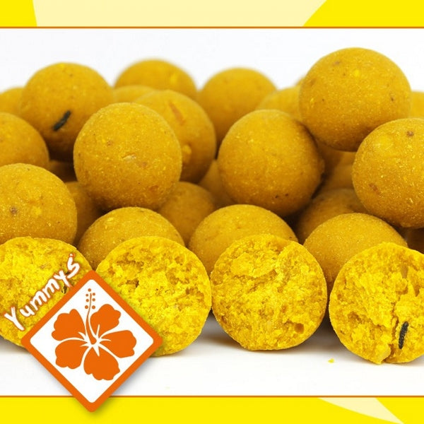 Ib Carptrack Banana Boilie