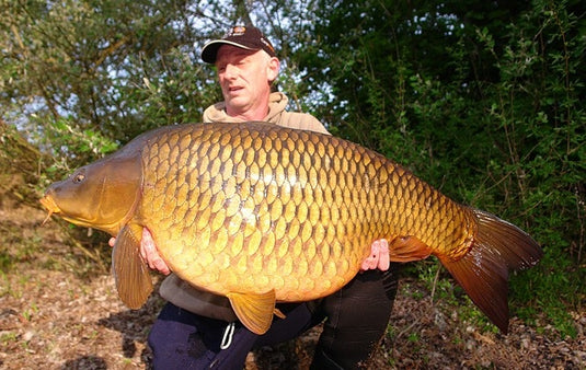 Ib Carptrack Banana Boilie