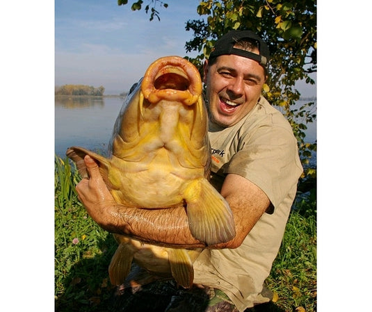 Ib Carptrack Elite Strawberry Boilie