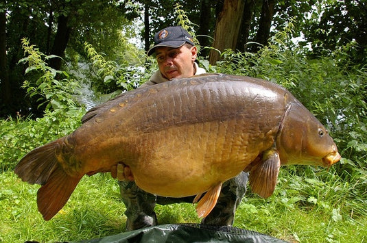 Ib Carptrack Monster/Liver Boilie
