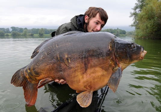 Ib Carptrack Monsters Paradise Mix