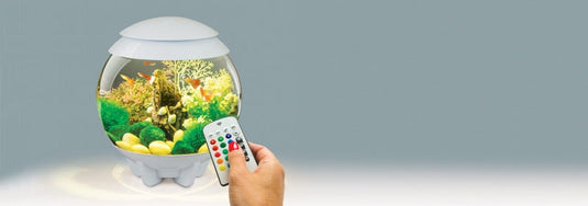 biOrb Acquario CLASSIC 15 MCR Bianco