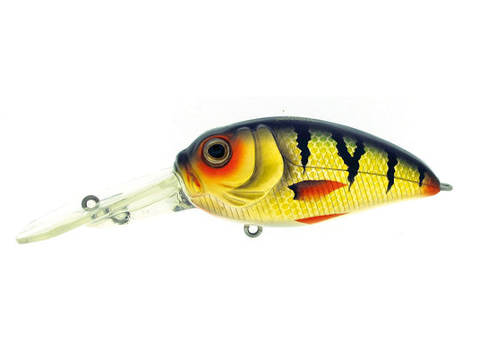 Molix - Sculpo Dr Rattlin’