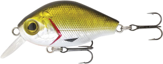Rapture Pro Bb Crank 05