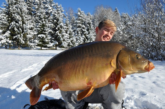 Ib Carptrack Monsters Paradise Boilie Acque Fredde (Cold Water)