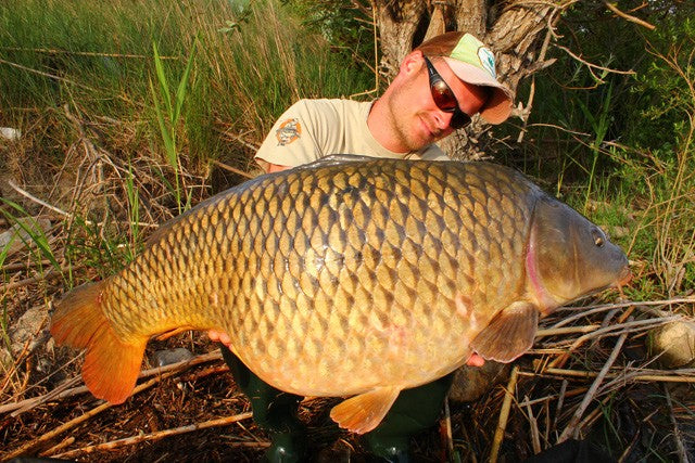 Carica immagine in Galleria Viewer, Ib Carptrack Monster/Liver Boilie
