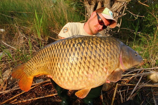 Ib Carptrack Monster/Liver Boilie