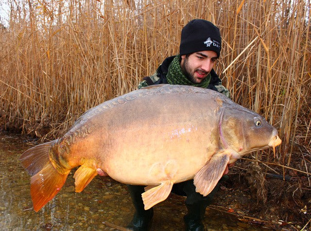 Carica immagine in Galleria Viewer, Ib Carptrack Monster-Liver Boilie Acque Fredde (Cold Water)
