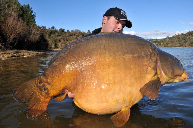 Carica immagine in Galleria Viewer, Ib Carptrack Monster-Liver Boilie Acque Fredde (Cold Water)
