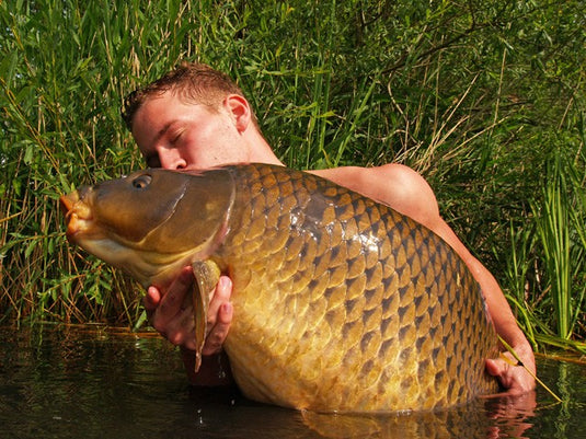 Ib Carptrack Big Fish Boilie
