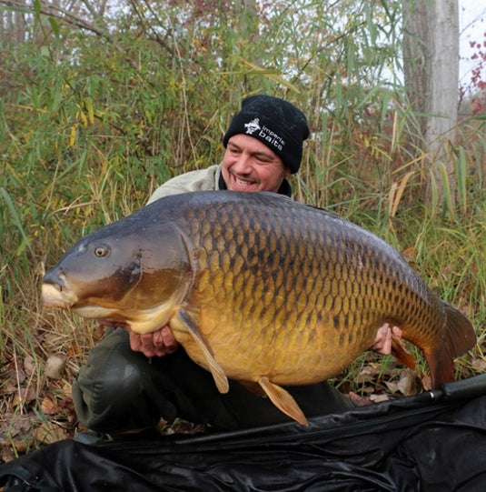 Ib Carptrack Big Fish Boilie