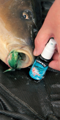 Carica immagine in Galleria Viewer, Carp&#39;r&#39;us Carp Doctor
