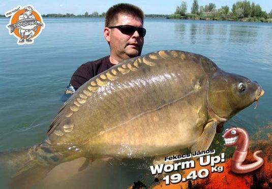 IB Carptrack Worm Up Mix