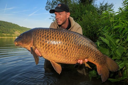 Ib Carptrack Scopana-Love Boilies