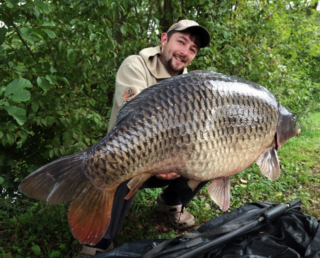 Carica immagine in Galleria Viewer, Ib Carptrack Amino Gel Crawfish - 100gr
