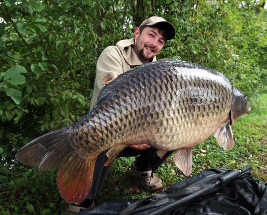 Ib Carptrack Amino Gel Crawfish - 100gr