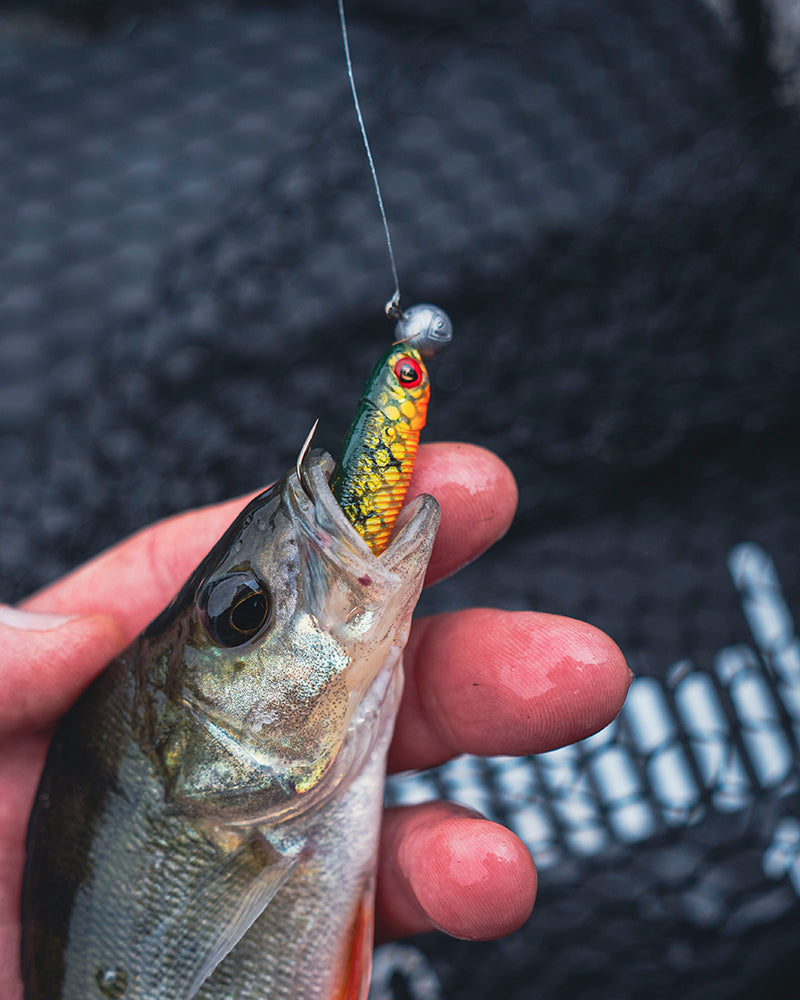 Load image into Gallery viewer, Fox Rage Mini Tiddler Mixed Colour Packs
