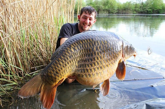 IB Carptrack Worm Up Mix