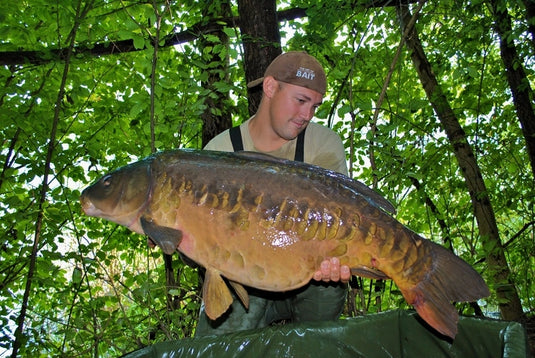 Ib Carptrack Liquid-Powder Paste Mkii - Classic - 180gr