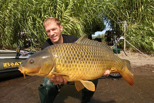 Ib Carptrack Elite Strawberry Boilie