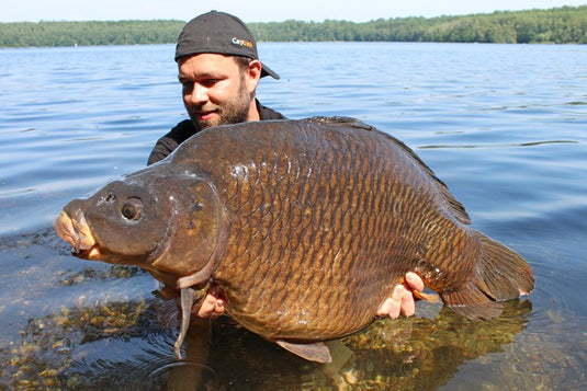 Ib Carptrack Elite Strawberry Boilie