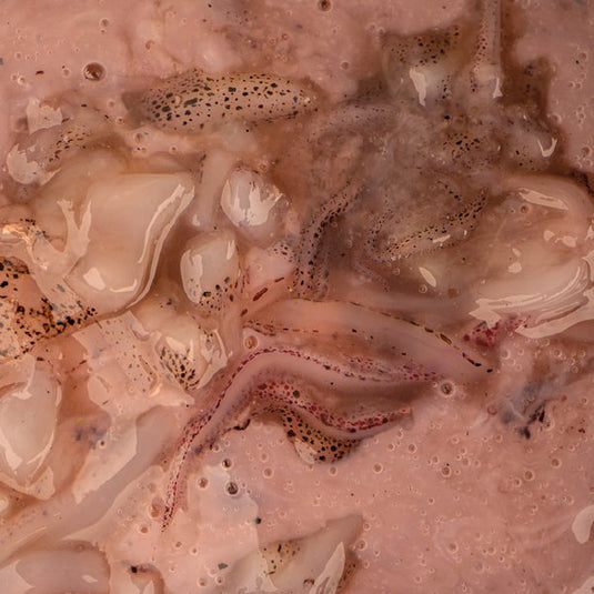 Kevin Nash Salted Squid