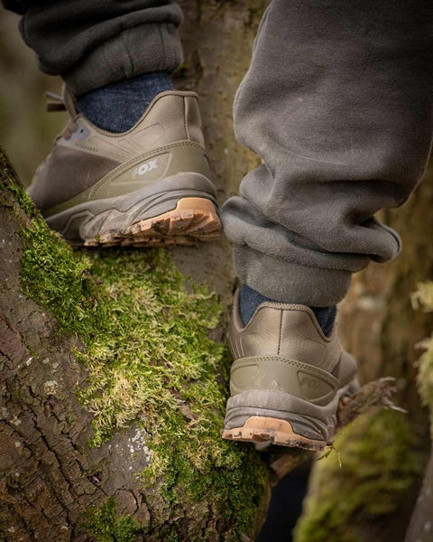 Fox Explorer Trainer