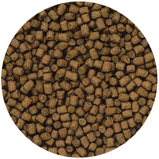HIKARI Lionhead Mini 100g