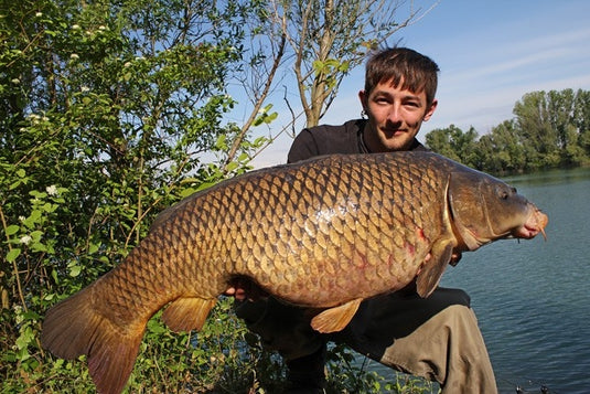Ib Carptrack Birdfood Banana Mix