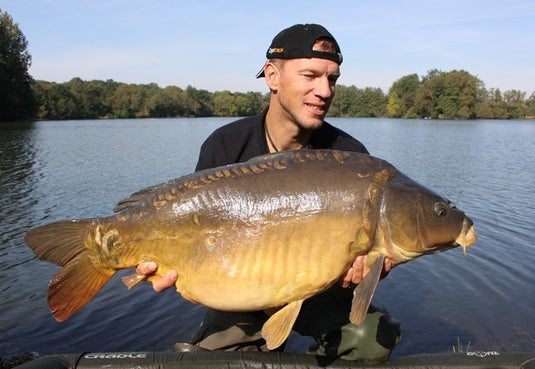 Ib Carptrack Elite Mix