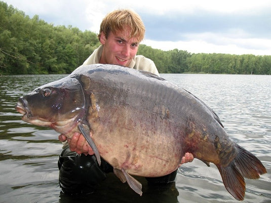 Ib Carptrack Elite Strawberry Boilie