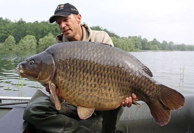 Carica immagine in Galleria Viewer, Ib Carptrack Monster/Liver Boilie
