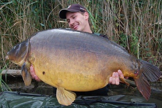 Ib Carptrack Monster/Liver Mix