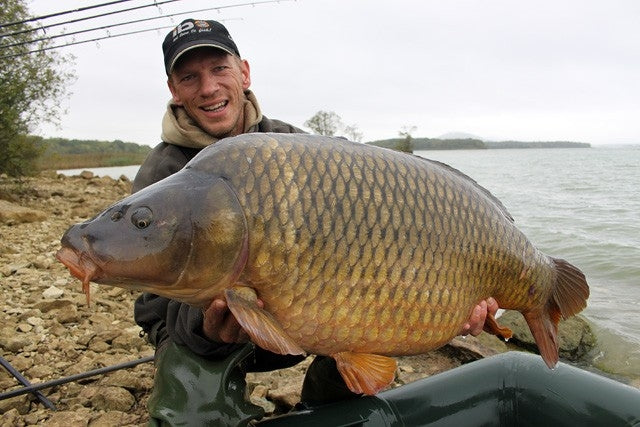 Carica immagine in Galleria Viewer, Ib Carptrack Monsters Paradise Boilie
