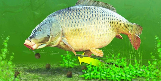 Korda Safe Zone Lead Clip