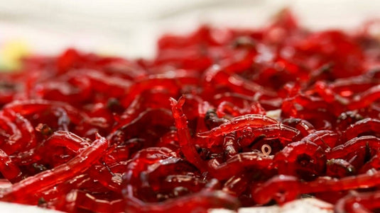 Ruto Bloodworm Surgelato 500gr