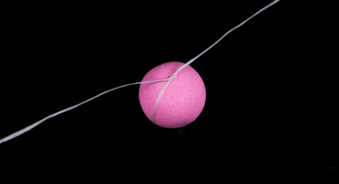 Chargez l&#39;image dans la visionneuse de la galerie, Kevin Nash Waxed Bait Floss
