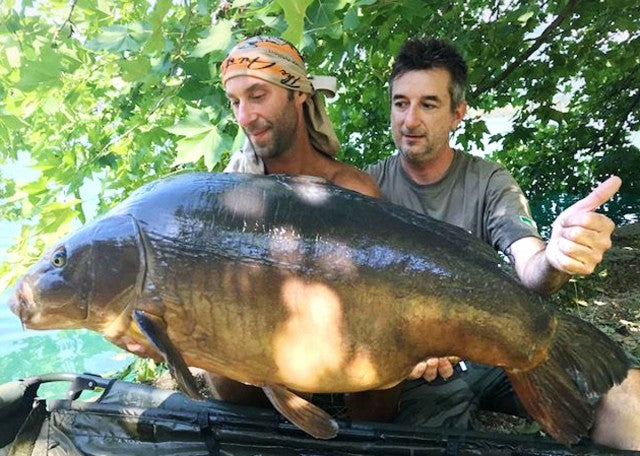Carica immagine in Galleria Viewer, Ib Carptrack Scopana-Love Boilies
