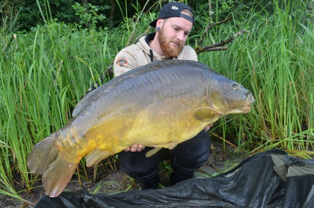 Carica immagine in Galleria Viewer, Ib Carptrack Scopana-Love Boilies
